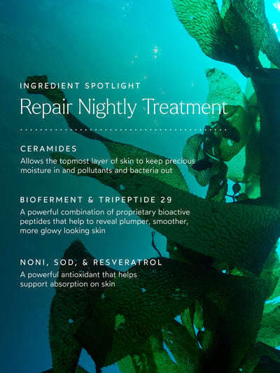 Renew Repair Nightly Treatment (formerly Repair Serum) - Thumbnail Image